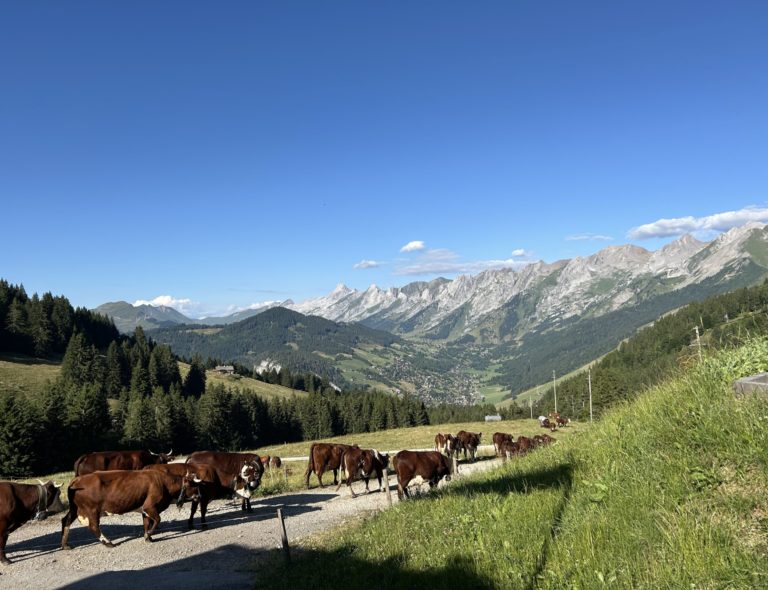 Image pour l'article Séjour à La Clusaz